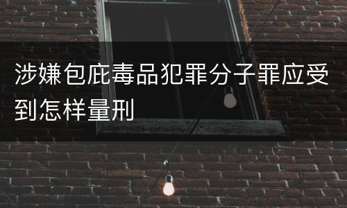 涉嫌包庇毒品犯罪分子罪应受到怎样量刑
