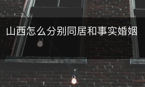 山西怎么分别同居和事实婚姻