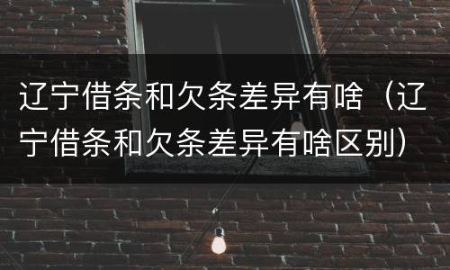 辽宁借条和欠条差异有啥（辽宁借条和欠条差异有啥区别）