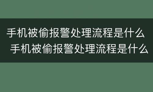 手机被偷报警处理流程是什么 手机被偷报警处理流程是什么意思