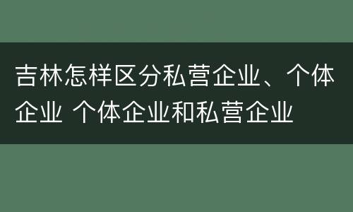 吉林怎样区分私营企业、个体企业 个体企业和私营企业
