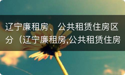 辽宁廉租房、公共租赁住房区分（辽宁廉租房,公共租赁住房区分标准）