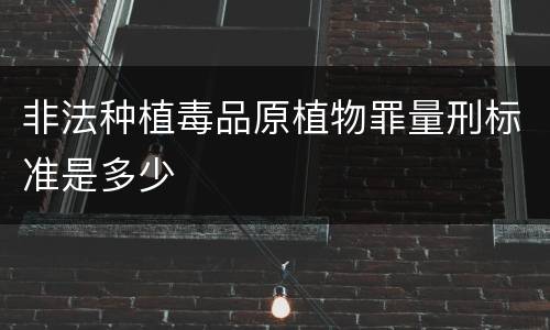 非法种植毒品原植物罪量刑标准是多少