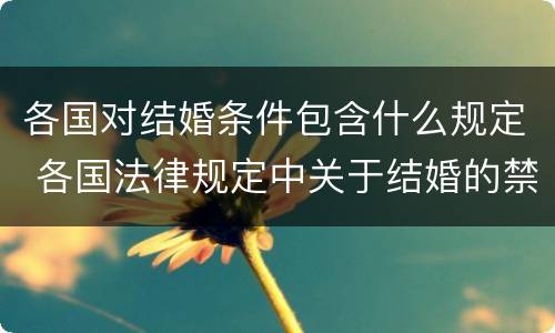 各国对结婚条件包含什么规定 各国法律规定中关于结婚的禁止条件包括什么