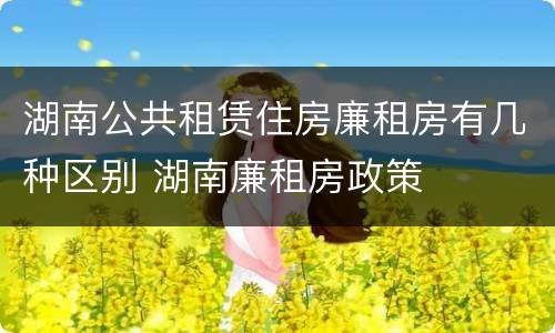 湖南公共租赁住房廉租房有几种区别 湖南廉租房政策
