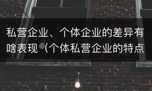 私营企业、个体企业的差异有啥表现（个体私营企业的特点）