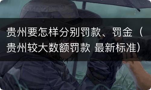 贵州要怎样分别罚款、罚金（贵州较大数额罚款 最新标准）