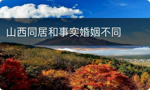 山西同居和事实婚姻不同