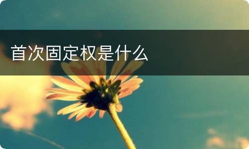 首次固定权是什么