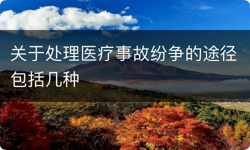 关于处理医疗事故纷争的途径包括几种