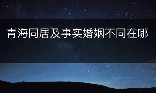 青海同居及事实婚姻不同在哪