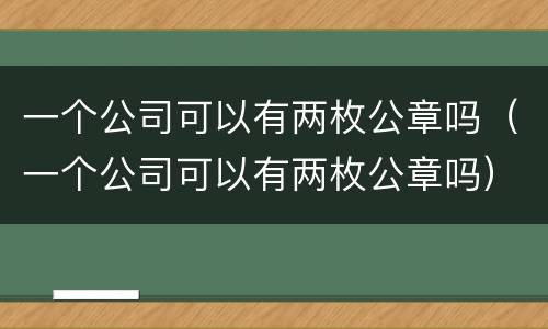 一个公司可以有两枚公章吗（一个公司可以有两枚公章吗）