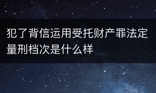 犯了背信运用受托财产罪法定量刑档次是什么样