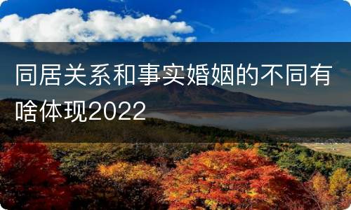 同居关系和事实婚姻的不同有啥体现2022