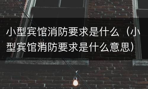 小型宾馆消防要求是什么（小型宾馆消防要求是什么意思）