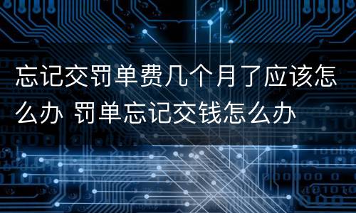 忘记交罚单费几个月了应该怎么办 罚单忘记交钱怎么办