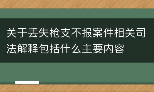 关于丢失枪支不报案件相关司法解释包括什么主要内容