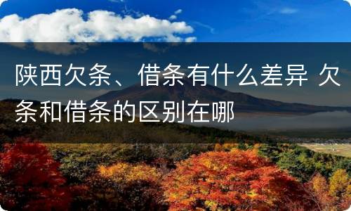 陕西欠条、借条有什么差异 欠条和借条的区别在哪
