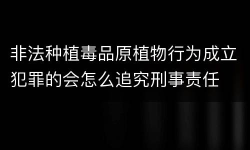 非法种植毒品原植物行为成立犯罪的会怎么追究刑事责任