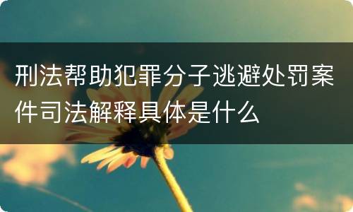 刑法帮助犯罪分子逃避处罚案件司法解释具体是什么