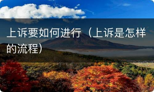 上诉要如何进行（上诉是怎样的流程）