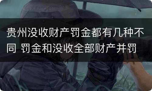 贵州没收财产罚金都有几种不同 罚金和没收全部财产并罚