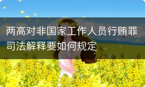 两高对非国家工作人员行贿罪司法解释要如何规定