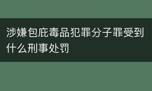 涉嫌包庇毒品犯罪分子罪受到什么刑事处罚