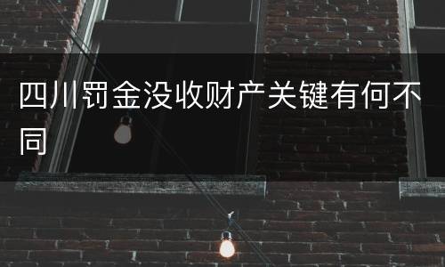 四川罚金没收财产关键有何不同