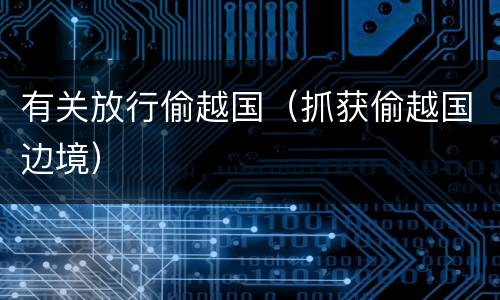 有关放行偷越国（抓获偷越国边境）