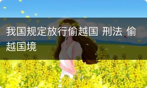 我国规定放行偷越国 刑法 偷越国境