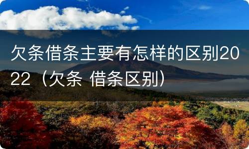 欠条借条主要有怎样的区别2022（欠条 借条区别）