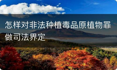 怎样对非法种植毒品原植物罪做司法界定