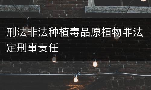 刑法非法种植毒品原植物罪法定刑事责任