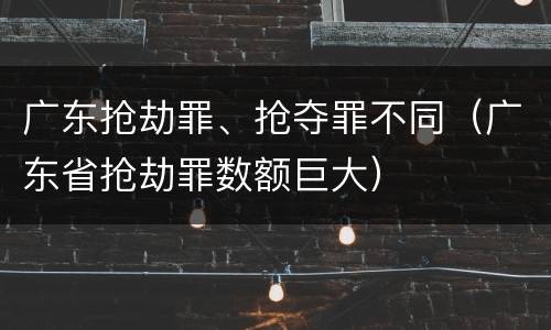 广东抢劫罪、抢夺罪不同（广东省抢劫罪数额巨大）
