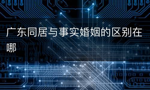 广东同居与事实婚姻的区别在哪