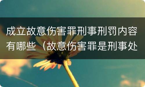 成立故意伤害罪刑事刑罚内容有哪些（故意伤害罪是刑事处罚吗）