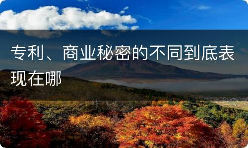 专利、商业秘密的不同到底表现在哪