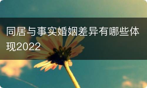 同居与事实婚姻差异有哪些体现2022