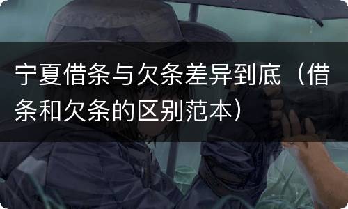 宁夏借条与欠条差异到底（借条和欠条的区别范本）
