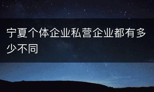 宁夏个体企业私营企业都有多少不同