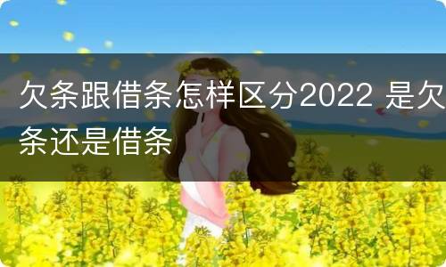 欠条跟借条怎样区分2022 是欠条还是借条