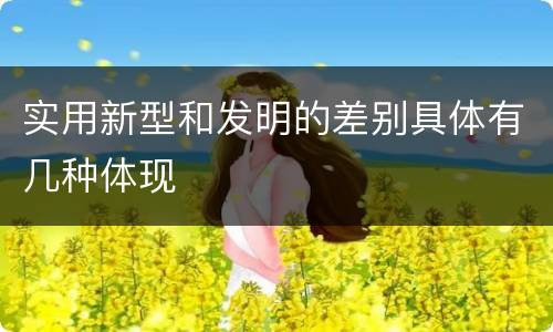 实用新型和发明的差别具体有几种体现