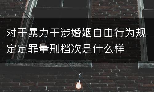 对于暴力干涉婚姻自由行为规定定罪量刑档次是什么样