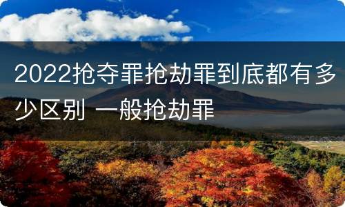 2022抢夺罪抢劫罪到底都有多少区别 一般抢劫罪