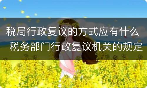 税局行政复议的方式应有什么 税务部门行政复议机关的规定