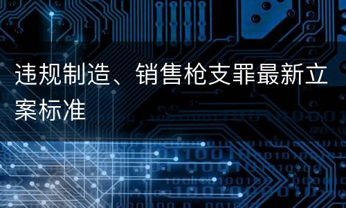 违规制造、销售枪支罪最新立案标准