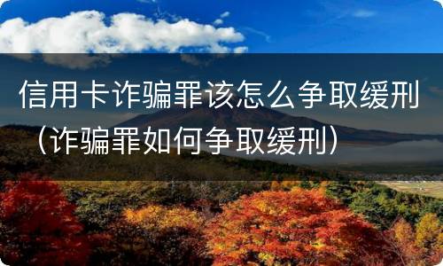 信用卡诈骗罪该怎么争取缓刑（诈骗罪如何争取缓刑）
