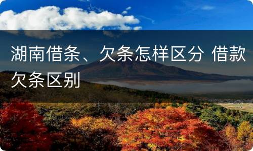 湖南借条、欠条怎样区分 借款欠条区别