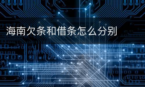海南欠条和借条怎么分别